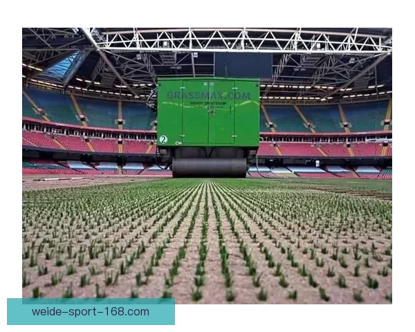 伟德NBA直播最新赛程全解析球迷必看高清赛事回放指南 伟德NBA直播最新赛程全解析球迷必看高清赛事回放指南