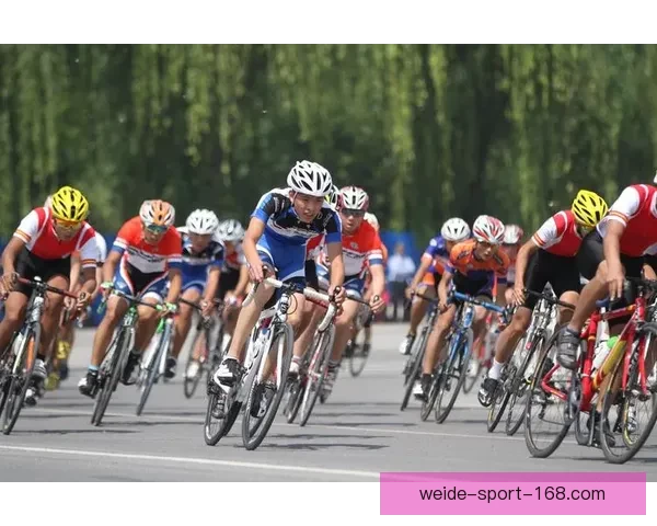 全新体育竞猜入口带你畅享实时赛事与精彩投注技巧