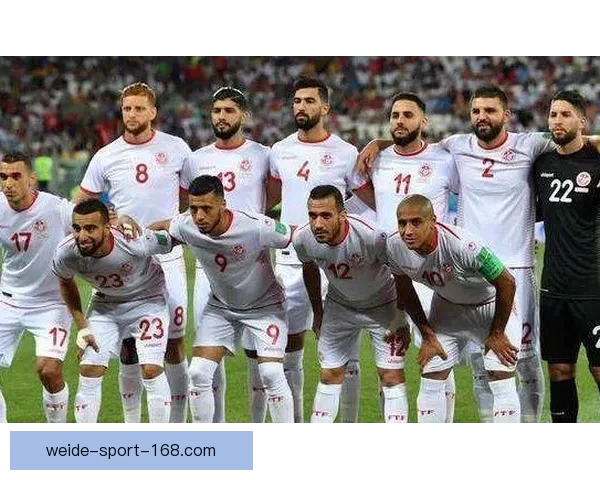 世界杯竞猜赔率最新查询分析与投注推荐全攻略